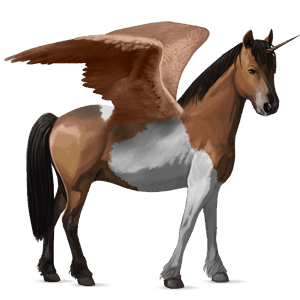 winged unicorn pony  shetland dark bay
