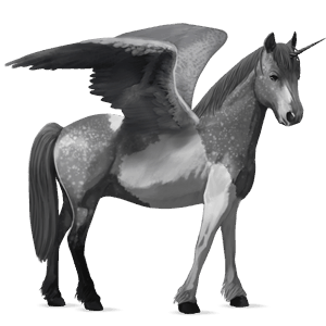 winged unicorn pony  chincoteague pony dapple gray tobiano