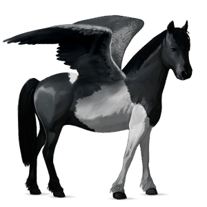 pegasus pony chincoteague pony light gray