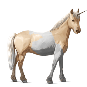 unicorn pony chincoteague pony black overo