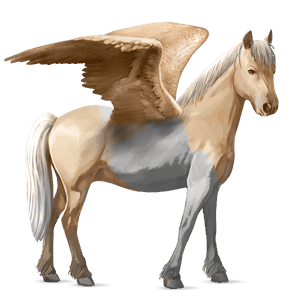 pegasus pony chincoteague pony palomino tobiano