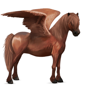 pegasus pony new forest chestnut