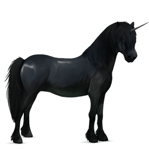 unicorn pony brunblakk