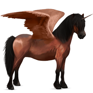 winged unicorn pony  australian pony dark bay