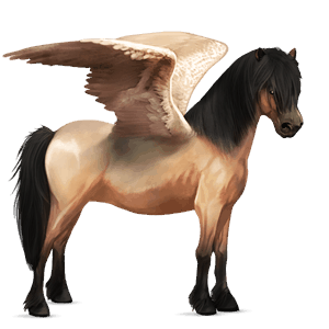 pegasus pony fjord gulblakk