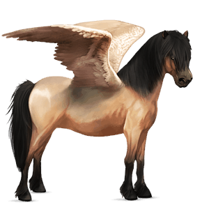 pegasus pony dun
