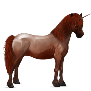 unicorn pony welsh strawberry roan