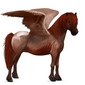 pegasus pony newfoundland pony strawberry roan