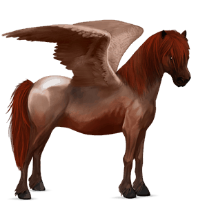 pegasus pony bay