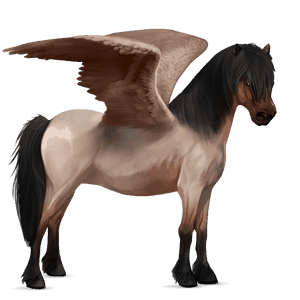pegasus pony australian pony black