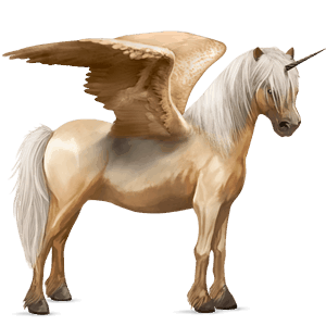 winged unicorn pony  shetland bay