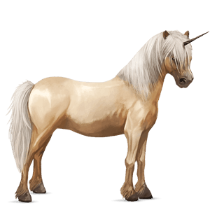 unicorn pony chincoteague pony liver chestnut