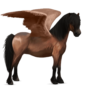 pegasus pony chincoteague pony bay