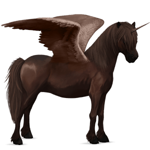 winged unicorn pony  newfoundland pony dark bay