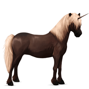 unicorn pony newfoundland pony black