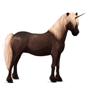 unicorn pony australian pony liver chestnut