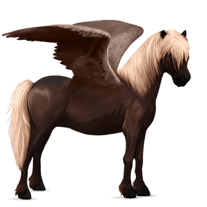 riding pegasus bay