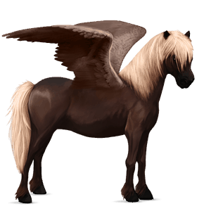 pegasus pony chestnut
