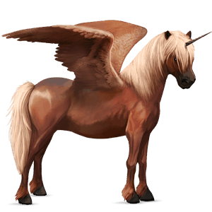 winged unicorn pony  kerry bog bay tobiano