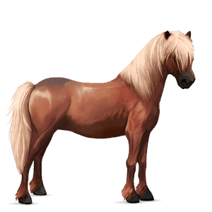 pony australian pony flaxen chestnut 