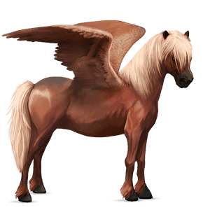 riding pegasus roan