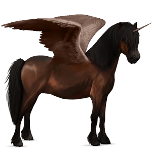 winged unicorn pony  newfoundland pony dark bay