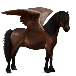 pegasus pony highland pony liver chestnut
