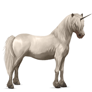 unicorn pony newfoundland pony cremello