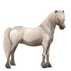 pony quarter pony chestnut