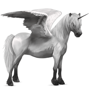 winged unicorn pony  quarter pony cherry bay