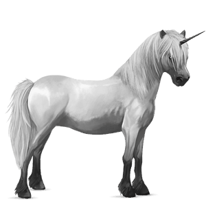 unicorn pony newfoundland pony light gray