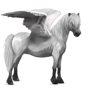 pegasus pony connemara light gray