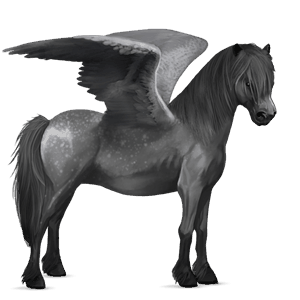 pegasus pony shetland liver chestnut