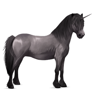 unicorn pony roan
