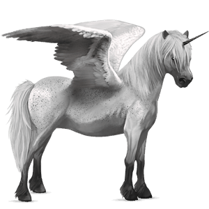 winged unicorn pony  ulsblakk