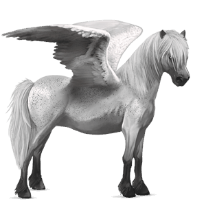 pegasus pony connemara dapple gray