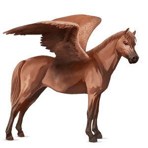 pegasus pony new forest chestnut