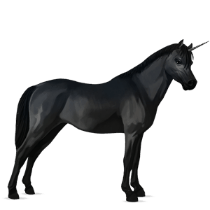 unicorn pony newfoundland pony black