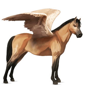 pegasus pony belgian riding pony dun