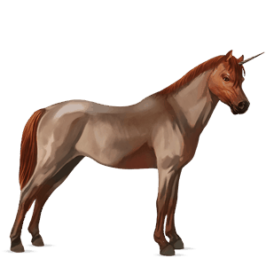 unicorn pony newfoundland pony dark bay