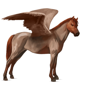 pegasus pony welsh strawberry roan