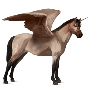 winged unicorn pony  connemara roan