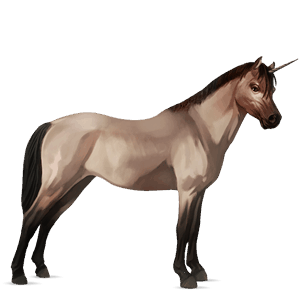 unicorn pony welsh roan