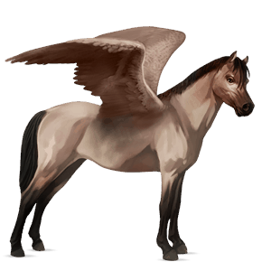 pegasus pony quarter pony dapple gray