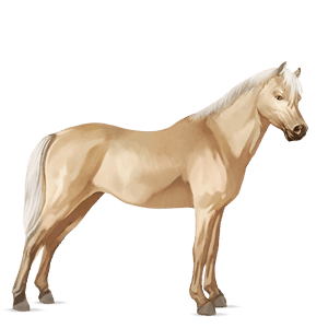 pony haflinger flaxen chestnut 