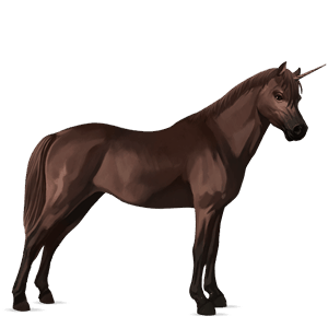 unicorn pony chincoteague pony liver chestnut
