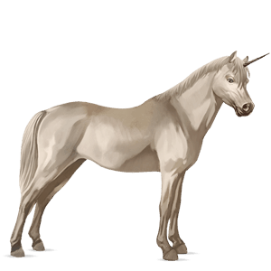 unicorn pony dun