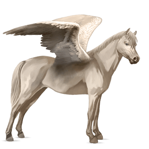 riding pegasus mustang cremello