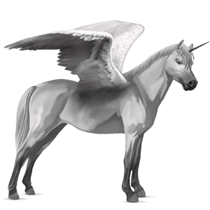 winged unicorn pony  australian pony light gray