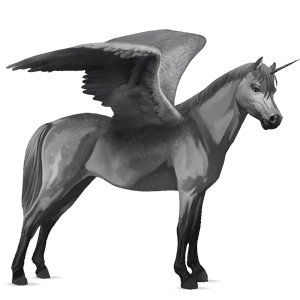 winged unicorn pony  brunblakk